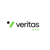 Veritas BPO Logotype