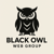 Black Owl Web Group Logo