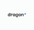 DRAGON IT Logotype