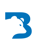 Blue Bear Digital Consulting Logo