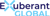 Exuberant Global Logo