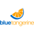 Blue Tangerine LLC Logotype