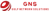Gulf Network Solutions Logo