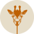 StarLove Creative Studio Logo