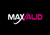 MaxValid Logotype