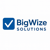 BigWize Solutions Logotype