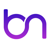 Brainy Neurals - An AI Consulting Company Logotype