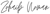 Zohaib Noman Logo