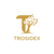 Trosidex Technologies Private Limited Logo