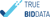 True Bid Data Logotype