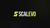 Scalevo Logo