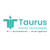 Taurus Infinity Technologies Logotype