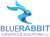 BLUERABBIT LOGISTICS & SOLUTIONS LLC Logotype
