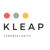 KLEAP Cybersecurity Logotype