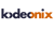 Kodeonix Krypt Pvt. Ltd. Logotype