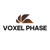 Voxel Phase Logo