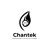 Chantek Innovation and Technology Logotype