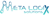 Metalogic Solutions Logo