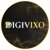 DigiVixo Logo