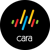 CARA PRODUCTIONS LIMITED Logotype