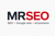 Mr. Seo Logo