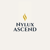 Nylux Ascend Logotype