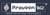 Praveenbiz Logotype