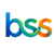 Brilliant Systems Solutions Pvt Ltd Logo