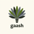 Gaash Logotype