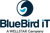BlueBird iT Solutions Inc Logo