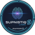 SupnistiQ Labs Logotype