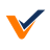 Vendor Vision Logotype