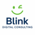Blink Digital Consulting Logo