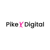 Pike x Digital Logotype