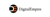 Digital Empire Logotype