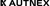 AUTNEX Logotype