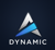 Dynamic Audit LLC Logotype