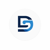 DS Digital Designs Logotype