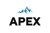 Apex Consulting Group, LLC Logotype