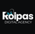 Roipas Dijital Pazarlama Ajansı Logo