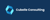 Cubelle Consulting Logo