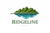 RidgelineDigital LLC Logo