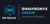 Rimayronyx Nexus Digital Logotype