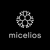 Micelios by Amplifik AI Inc. Logotype