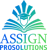 AssignPro Solutions Logotype