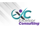 EXCELSIOR CONSULTING Logo