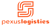 Pexus Logistics Packers and Movers Pakistan Logotype