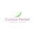 Curious Packet Logo