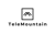 TeleMountain Communications Logotype