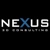 Nexus 3D Consulting Logo